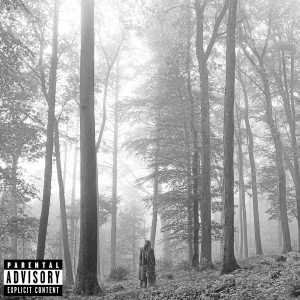 Pochette de folklore de Taylor Swift